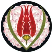 Test Kurum